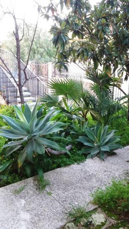 Casa Roby 120 Mt Beach Fontane Bianche Luaran gambar